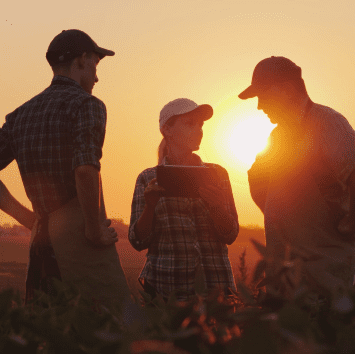 Three People Standing in Field